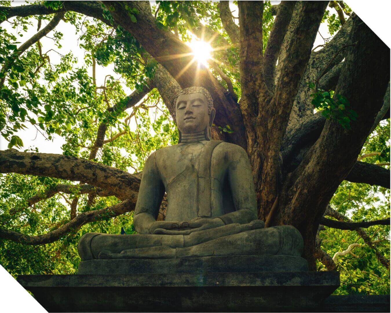 Beautiful image under sunlight